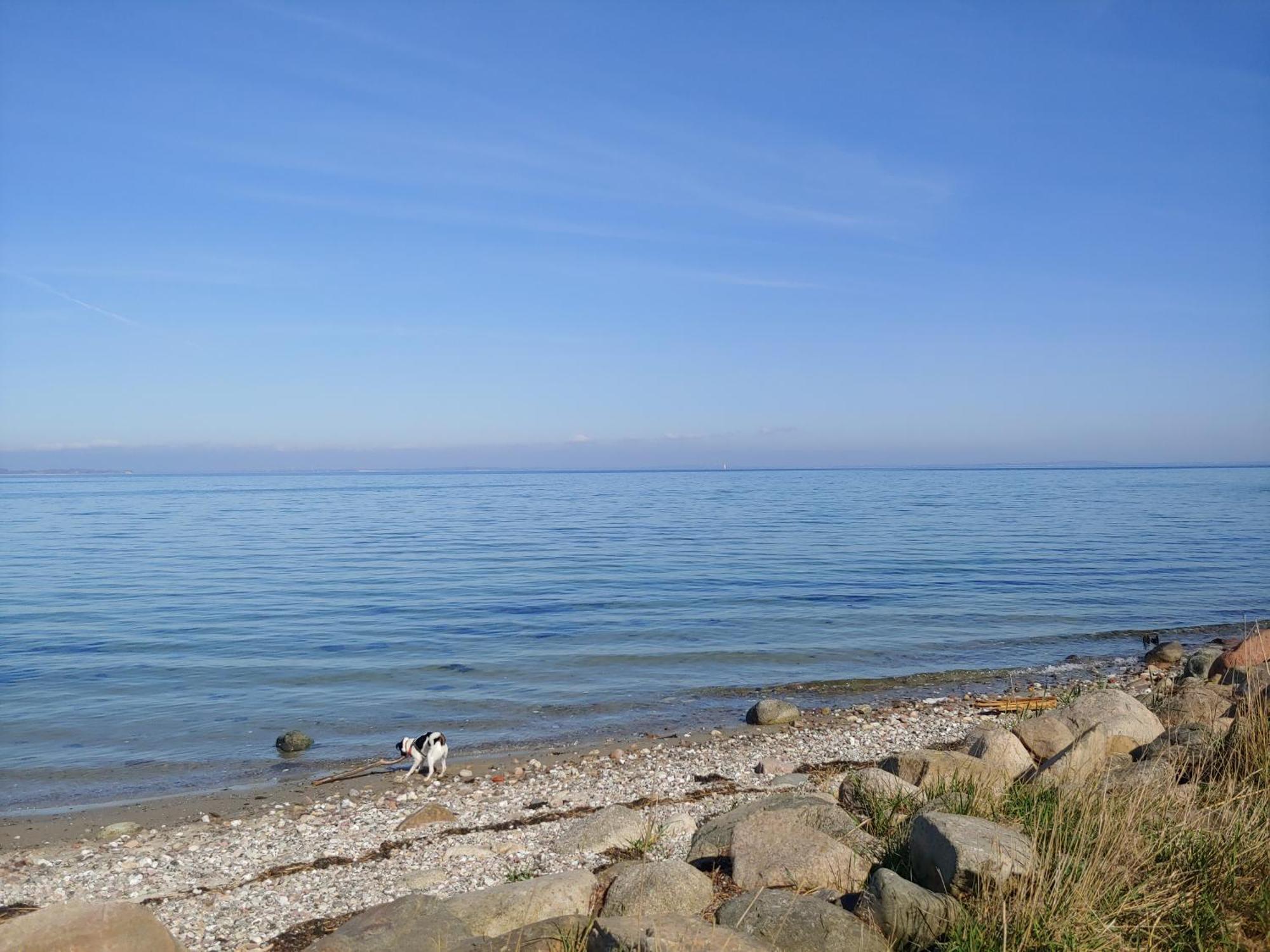 Appartamento Lungomare Oro, Penthouse Am Yachthafen Kappeln Esterno foto